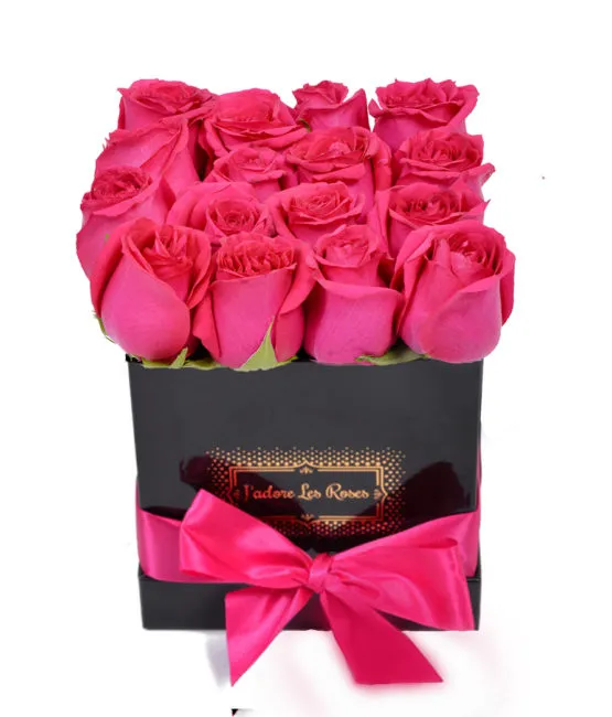 fuchsia roses in black box