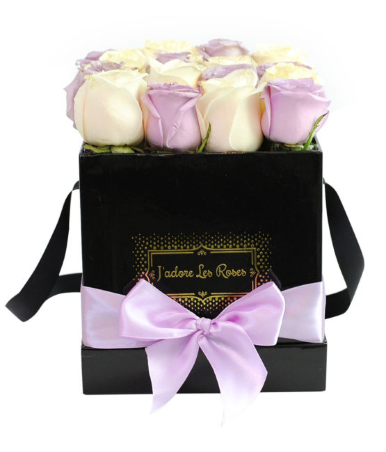 purple cream roses box
