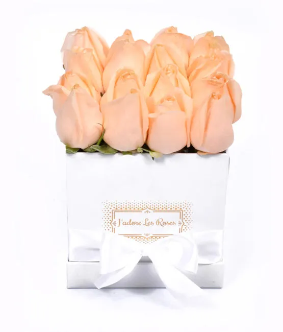 peach roses in white box