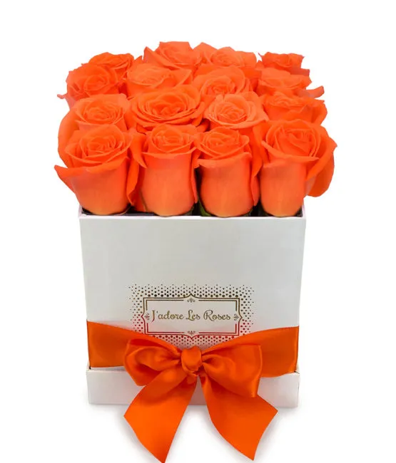 orange roses in white box