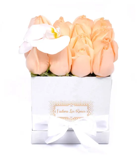 peach roses in white square box