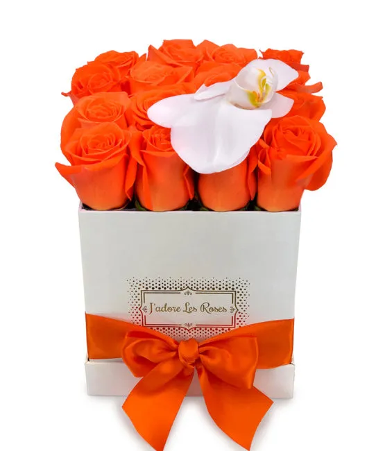 orange roses in white square box