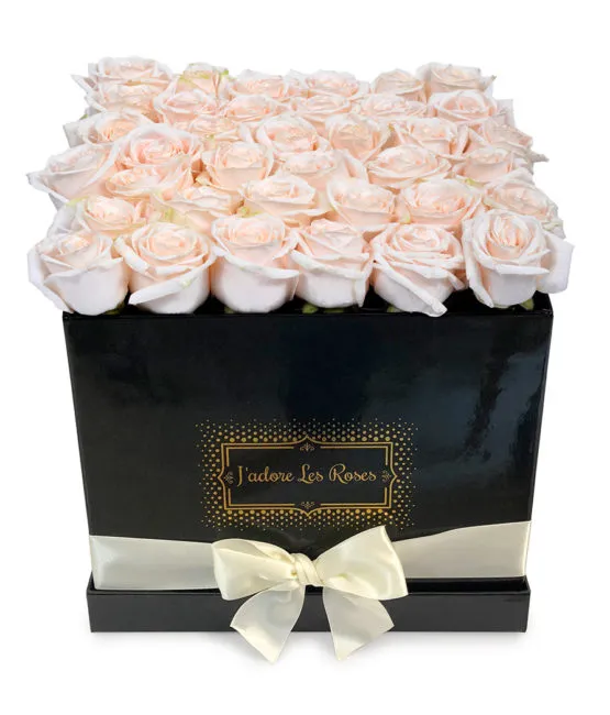 cream roses in black medium box
