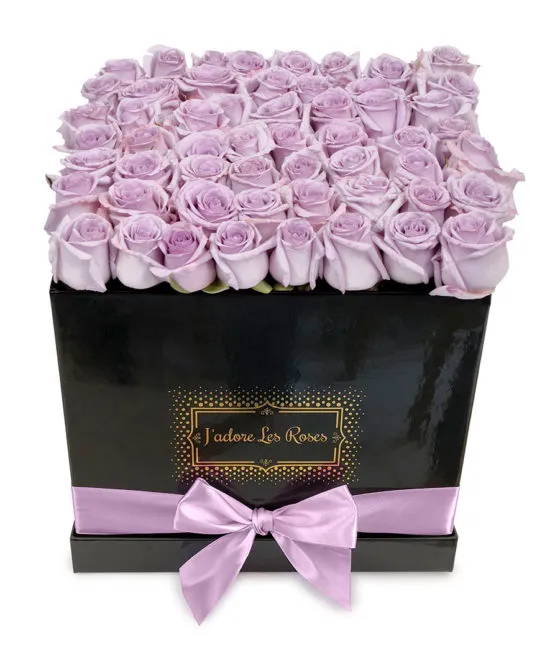 purple roses in black medium square box
