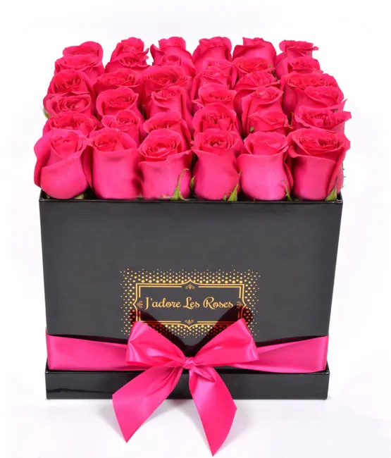 fuchsia roses in black medium box