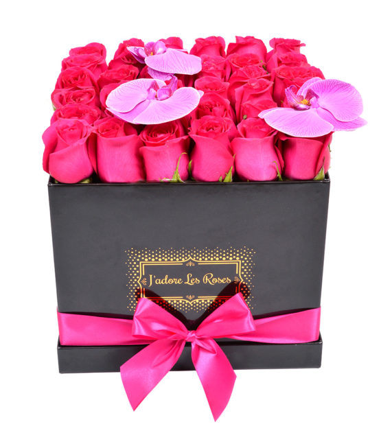 fuchsia roses in black medium square box