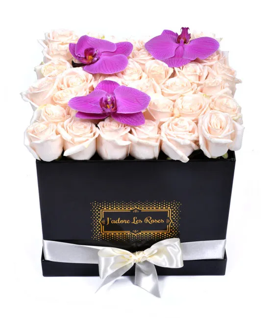 cream roses in black square box