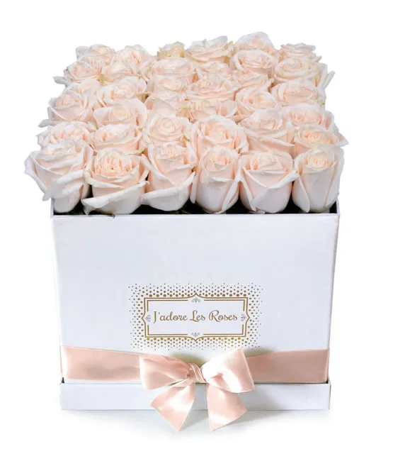 cream roses in white medium box