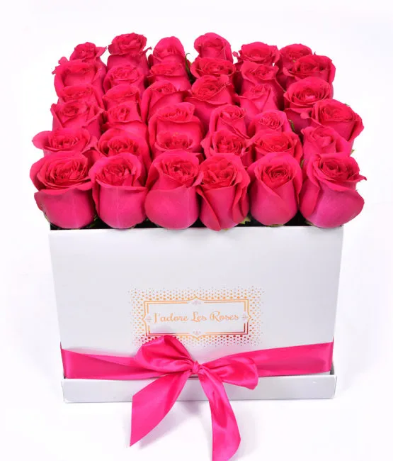fuchsia roses in white medium square box
