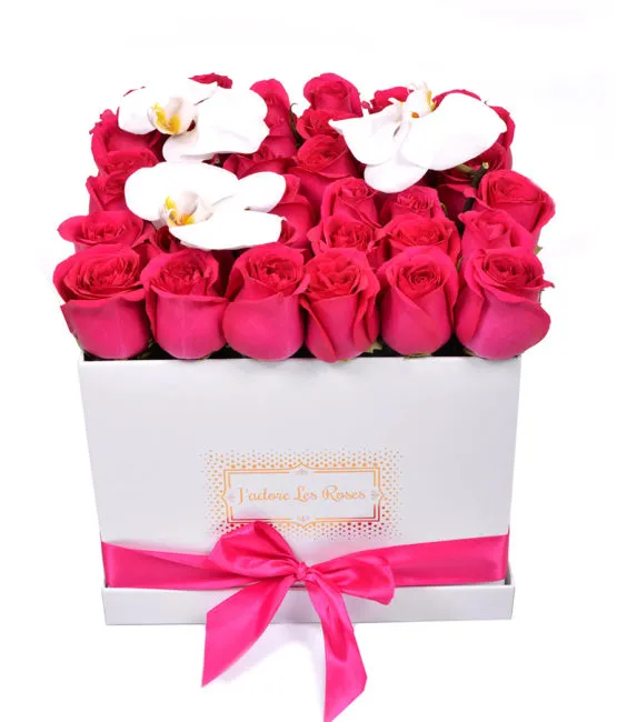 fuchsia roses in white square box