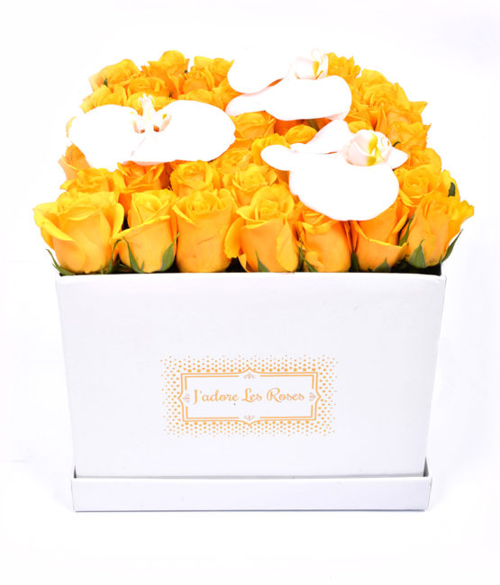 yellow roses with orchid in white medium box