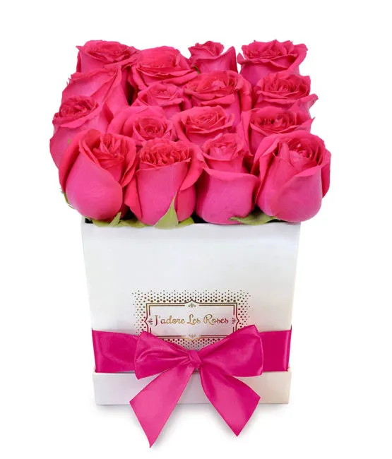 fuchsia roses in white box