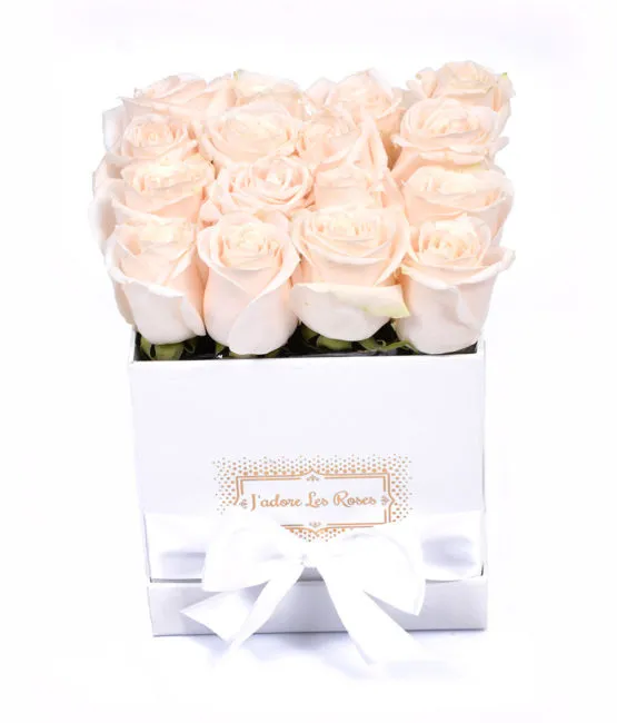 cream roses in white box