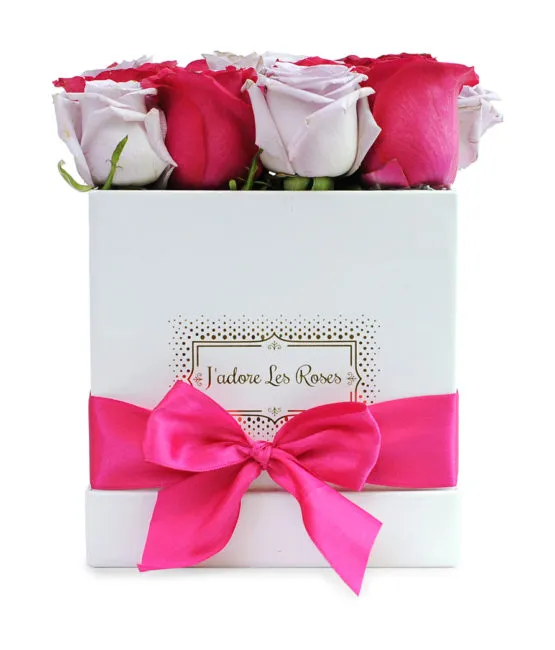 purple fuchsia roses in white box