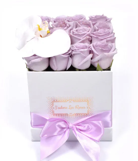 purple roses in white box