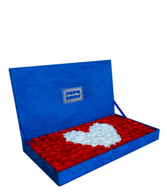 Heart shaped blue velvet roses