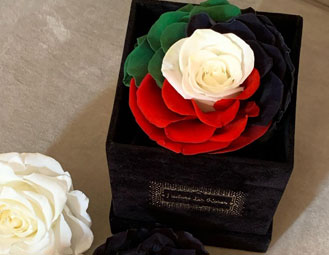 Celebrate-Your-Party---Order