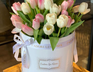 Flower-Boxes-Can-Make-Your